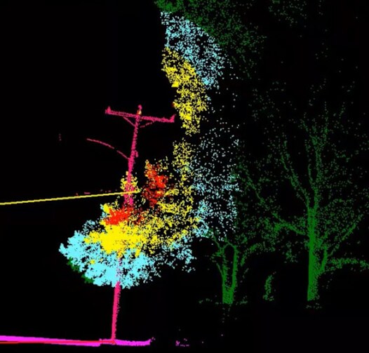 LiDAR view of vegetation around utility infrastructure